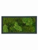 Панно из стабилизированного мха Moss painting Stiel RAL