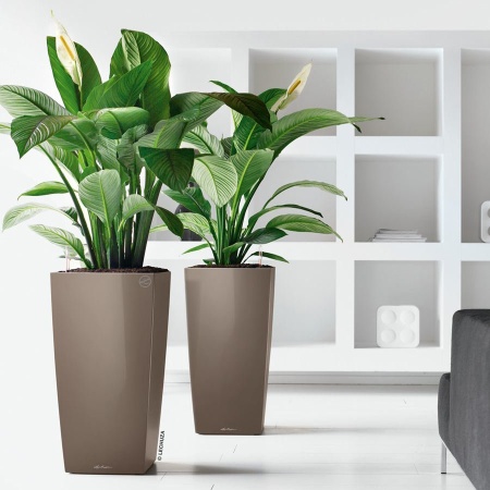 Кашпо Lechuza Cubico Premium