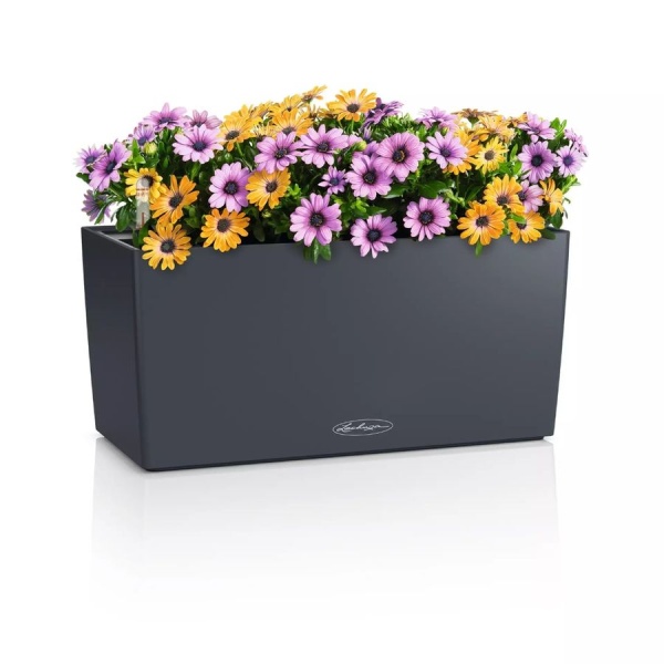 Кашпо Lechuza Balconera Color 40