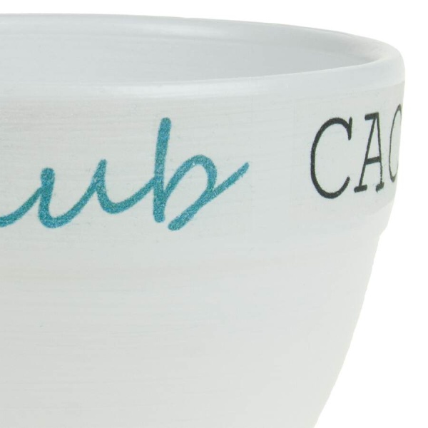 Кашпо White Cactus