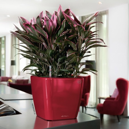 Кашпо Lechuza Quadro LS