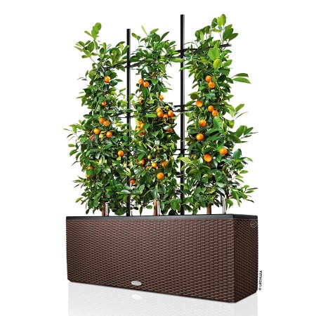 Решетки с изгибом Lechuza для Trio Cottage