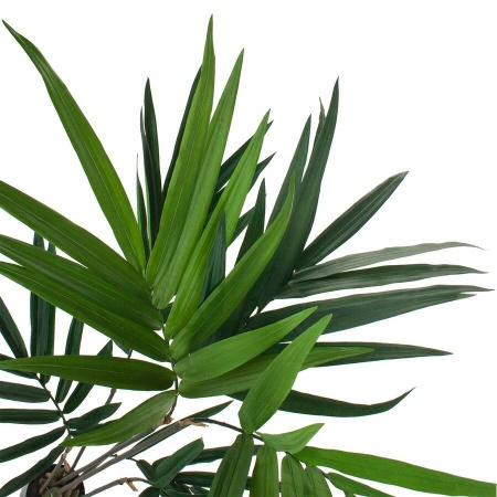 Пальма Кентия искусственная