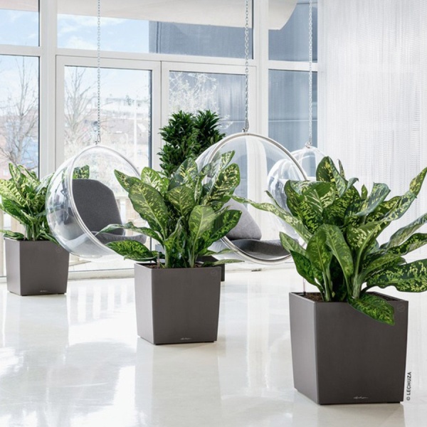 Кашпо Lechuza Cube