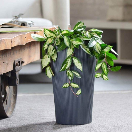 Кашпо Lechuza Cilindro Color