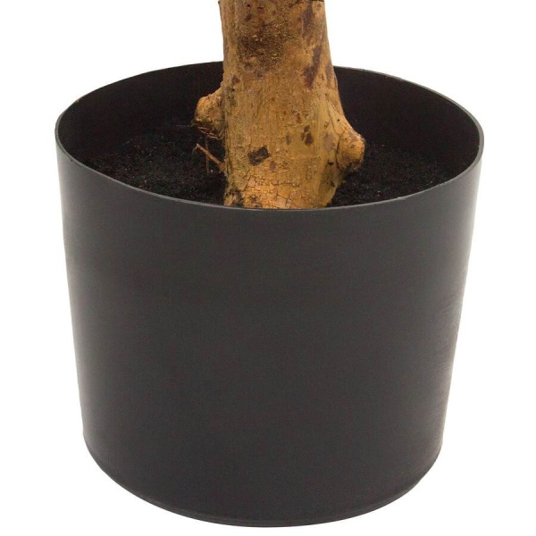 Дерево искусственное Полисциас