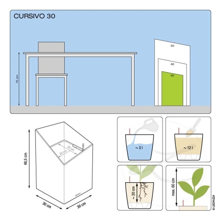 Лечуза Курсиво