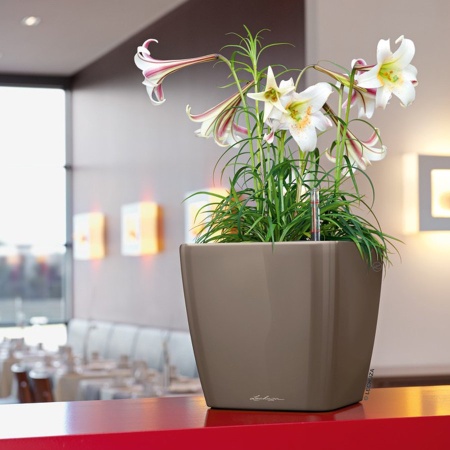 Кашпо Lechuza Quadro LS