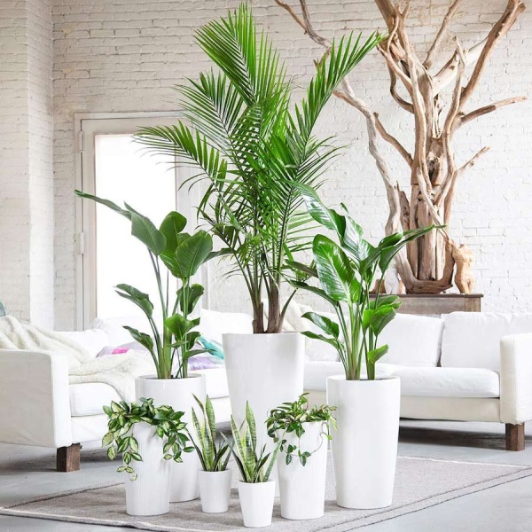 Кашпо Lechuza Deltini & MINI-Deltini