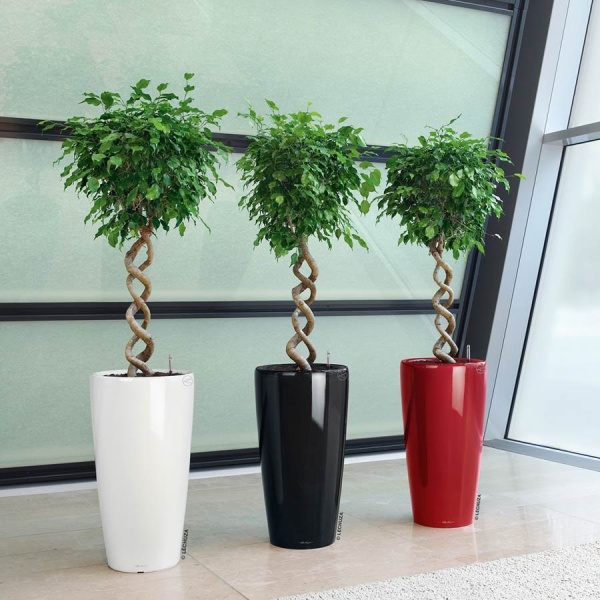 Кашпо Lechuza Rondo