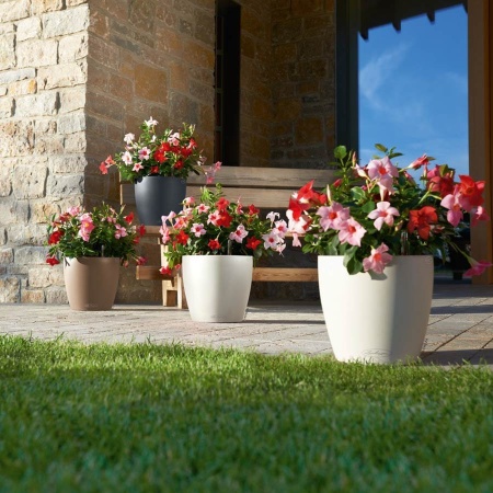 Кашпо Lechuza Classico Color