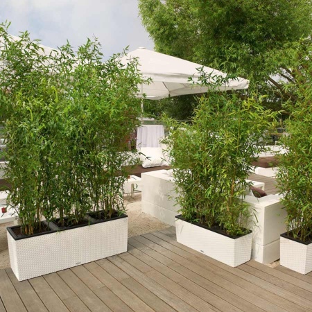 Кашпо Lechuza TRIO Cottage