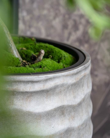 Большой  горшок вазон Palm Tall 