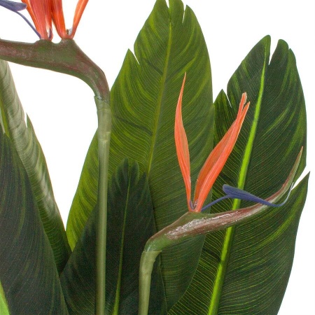 Стрелиция искусственное растение