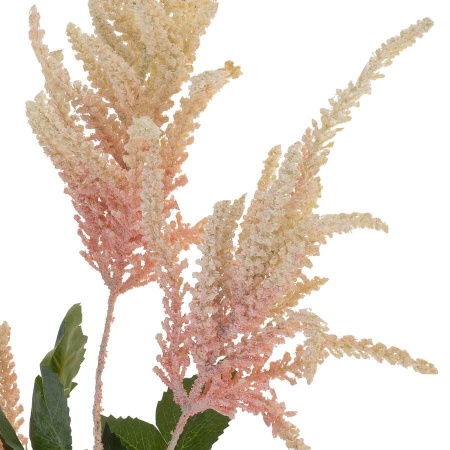 Астильба искусственная