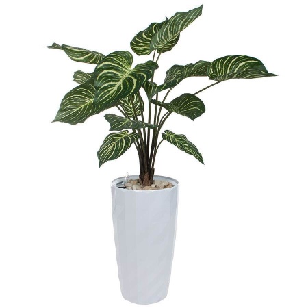 Растение искусственное Калатея в горшке Vase Rib