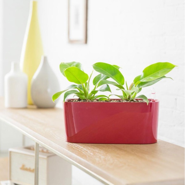 Кашпо Lechuza Delta 20