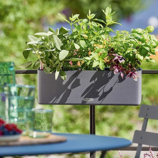 Кашпо Lechuza Cube Color Triple