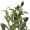 Олива дерево искусственное
