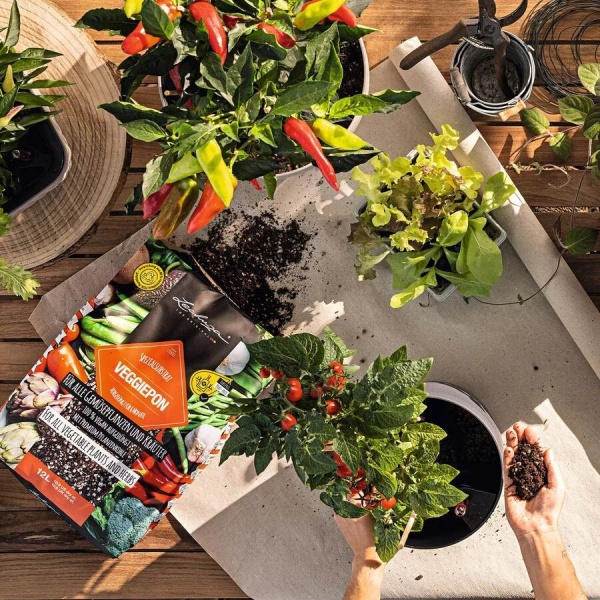 Субстрат Lechuza VEGGIEPON