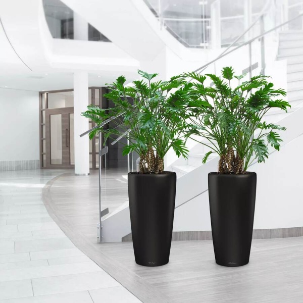 Кашпо Lechuza Rondo matt