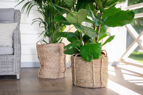 Кашпо плетеное Tower фото