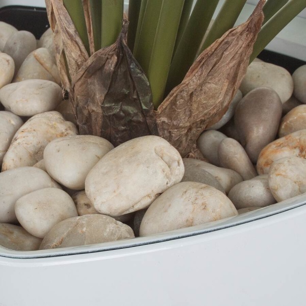 Искусственное растение Алоказия в горшке Crater Silk