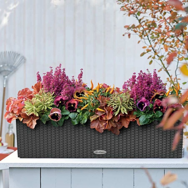 Кашпо Lechuza Balconera Cottage 80