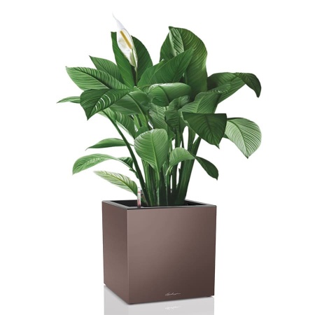 Кашпо Lechuza Canto Cube