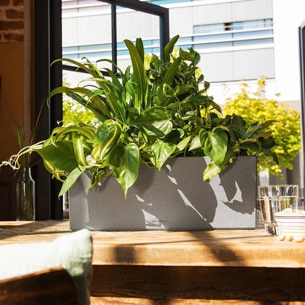 Кашпо Lechuza Balconera Stone 50