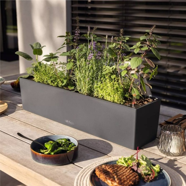 Кашпо Lechuza Balconera Color 100