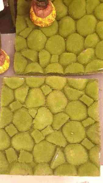 Мох с кочками