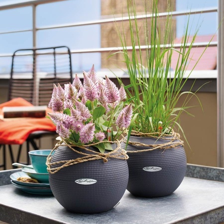 Кашпо Lechuza Puro Color