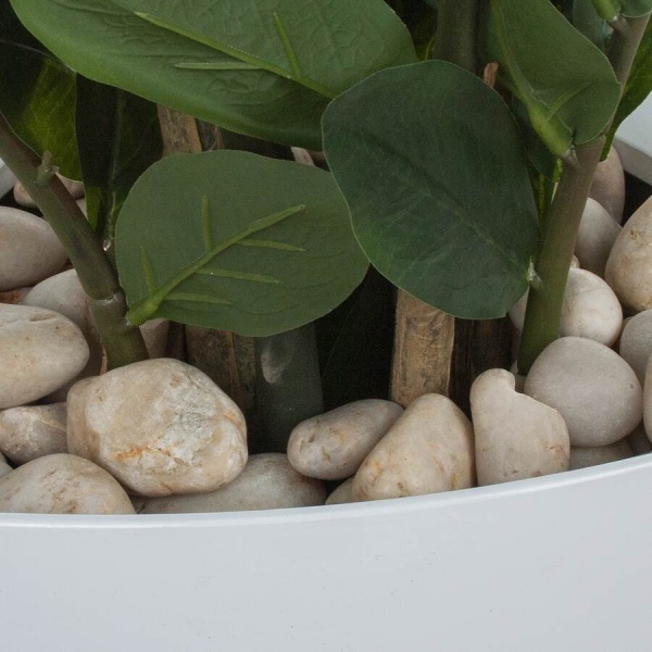 Растение искусственное Замиокулькас в горшке Crater Silk