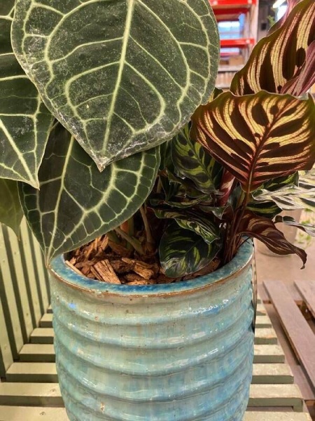 Цветочный горшок Ocean round