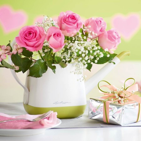 Лейка Lechuza Yula