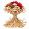 Стабилизированный букет Раффия красный