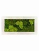 Панно из стабилизированного мха Moss painting Natural 