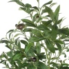 Олива дерево искусственное