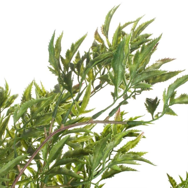 Дерево искусственное Полисциас