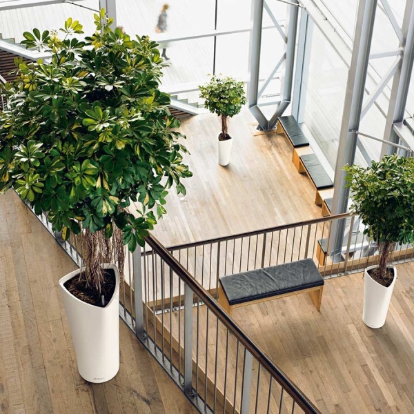 Кашпо Lechuza Delta