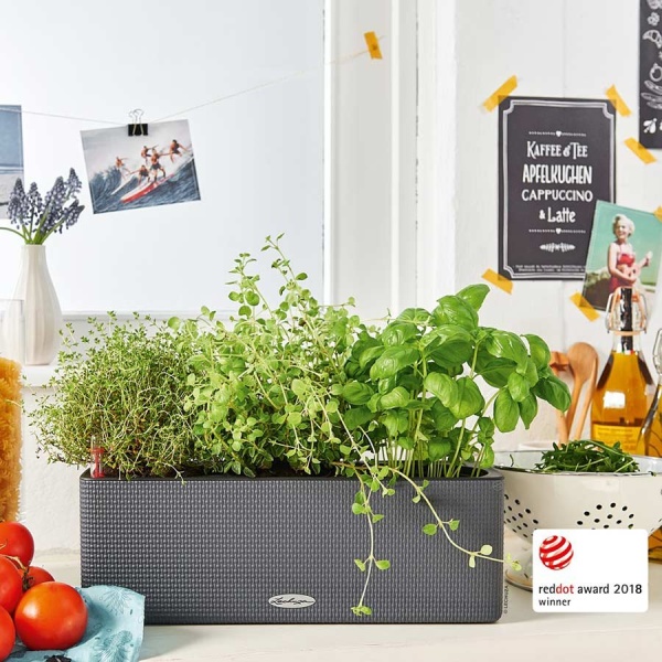 Кашпо Lechuza Cube Color Triple