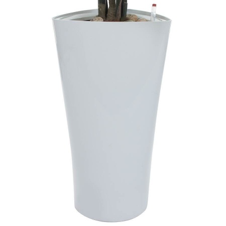 Растение искусственное Калатея в горшке Vase Rib