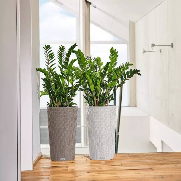 Кашпо Lechuza Cilindro Cottage