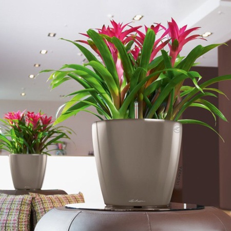 Кашпо Lechuza Classico LS