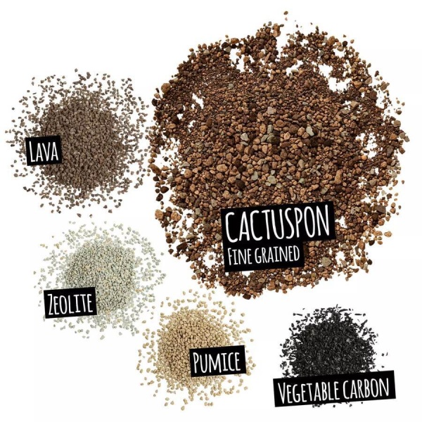 Субстрат Lechuza CACTUSPON