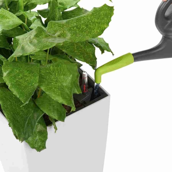 Насадка для лейки Lechuza Pico