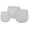 Большой горшок Cells Jar