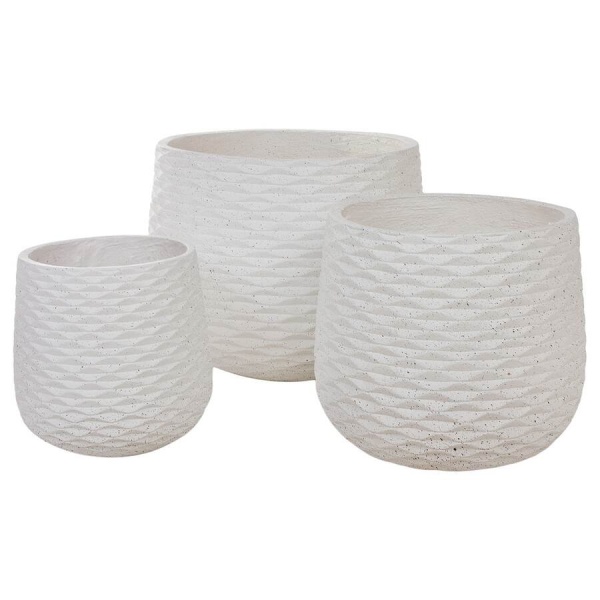 Большой горшок Cells Jar