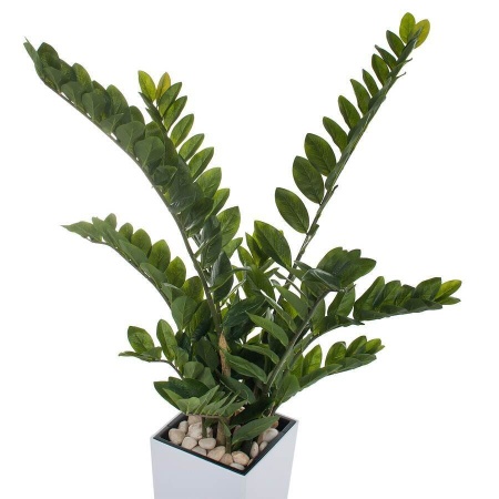 Растение искусственное Замиокулькас в горшке Conic Silk